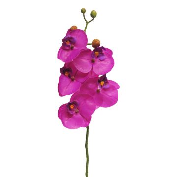 Dekozweig Phalaenopsis Orchidee SONGYA, pink, 55cm