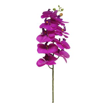 Dekozweig Phalaenopsis Orchidee SONGYA, pink, 75cm