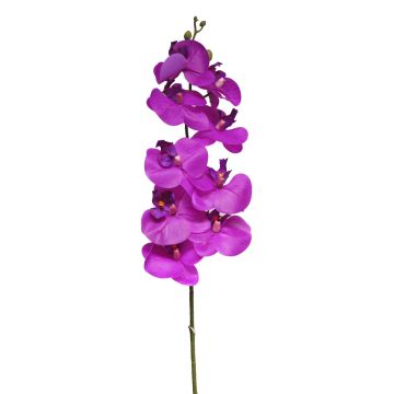 Dekozweig Phalaenopsis Orchidee SONGYA, pink, 105cm
