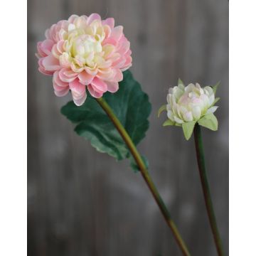 Textil Chrysantheme RYON, rosa-creme, 70cm, Ø3-5cm
