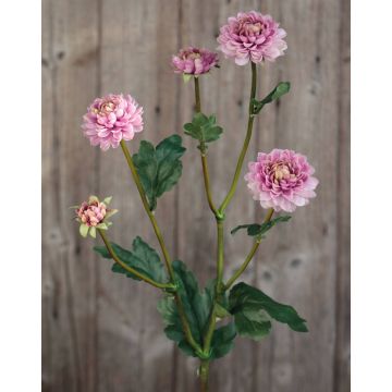 Textil Chrysantheme RYON, rosa-grün, 70cm, Ø3-5cm