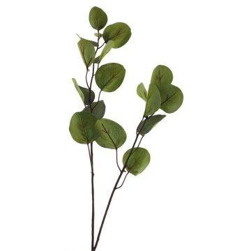 Kunst Zweig Eukalyptus AOSHAN, grün, 80cm