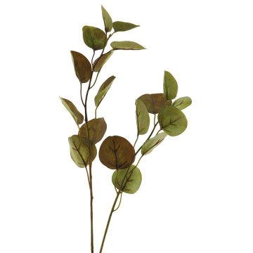 Kunst Zweig Eukalyptus AOSHAN, braun-grün, 80cm