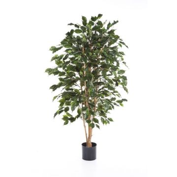 Kunststoff Ficus Benjamina THIAGO, Naturstämme, schwer brennbar, grün, 180cm