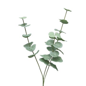 Dekozweig Eukalyptus FENYU, grün-weiß, 60cm