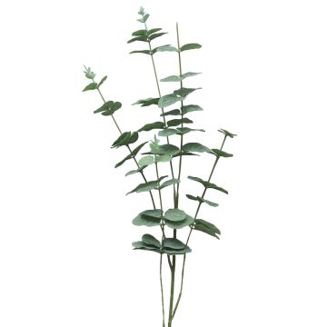Dekozweig Eukalyptus FENYU, grün-weiß, 90cm