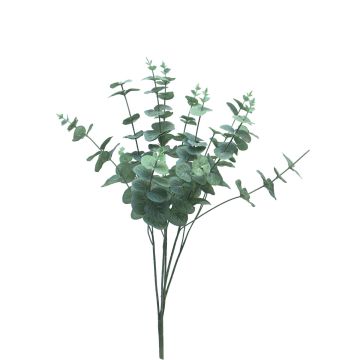 Dekopflanze Eukalyptus FENYU, Steckstab, grün-weiß, 60cm