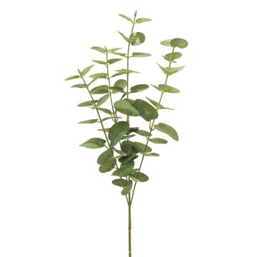 Kunst Zweig Eukalyptus MINJIA, grün, 65cm