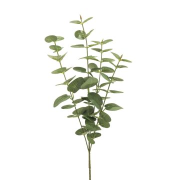 Kunst Zweig Eukalyptus MINJIA, grün-grau, 65cm