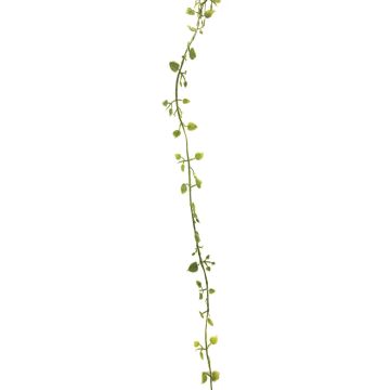 Kunst Girlande Mühlenbeckia JIAMIN, grün-grau, 240cm