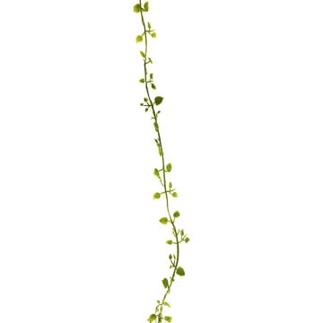 Kunst Girlande Mühlenbeckia JIAMIN, grün, 240cm