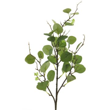 Kunstzweig Eukalyptus YURUO mit Blüten, grün, 90cm