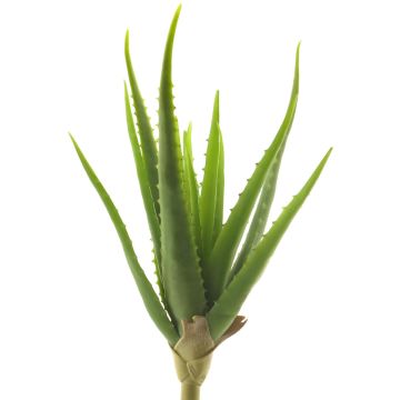 Kunst Sukkulente Aloe Vera DAHENG auf Steckstab, grün, 40cm