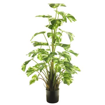 Kunst Philodendron Monstera Deliciosa Variegata HUALIEN, grün-weiß, 80cm