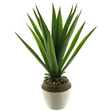 Plastik Sukkulente Aloe Vera SHURUI im Keramiktopf, grün, 45cm