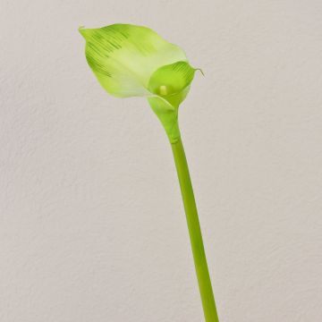 Kunst Calla MARIOLA, grün, 80cm, 8x15cm