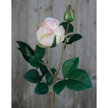 Samt Rose RENESMEE, zartrosa, 45cm, Ø6cm