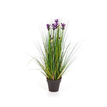 Dekogras Lavendel FREDERICA, lila, 60cm