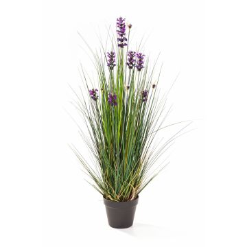 Dekogras Lavendel FREDERICA, lila, 90cm