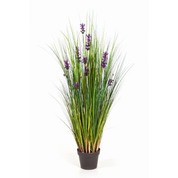 Dekogras Lavendel FREDERICA, lila, 120cm