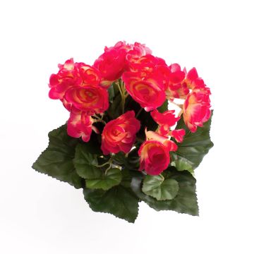 Deko Begonie IVANA zum Stecken, pink, 20cm, Ø3-5cm