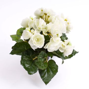 Deko Begonie IVANA zum Stecken, creme, 20cm, Ø3-5cm
