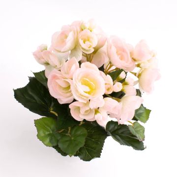 Deko Begonie IVANA zum Stecken, rosa-weiß, 20cm, Ø3-5cm
