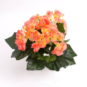 Deko Begonie IVANA zum Stecken, lachs, 20cm, Ø3-5cm