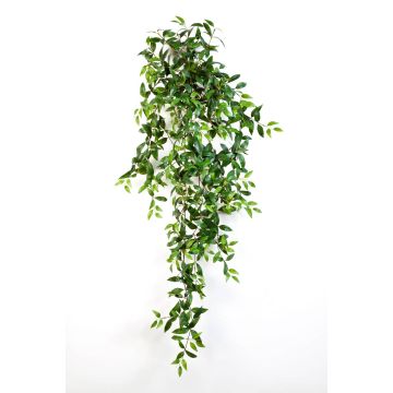Deko Tradescantia Fluminensis AURELIE, Stecker, grün, 125cm