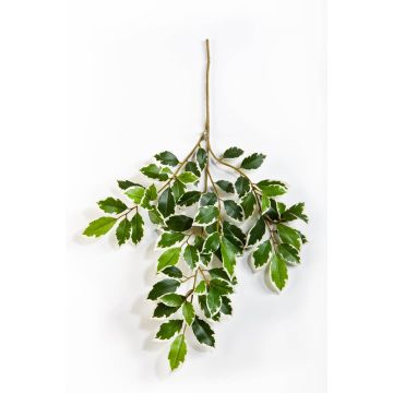 Kunst Ficus Benjamini Zweig AJITH, grün-weiß, 45cm