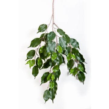 Deko Birkenfeige Zweig SUNIL, grün, 75cm