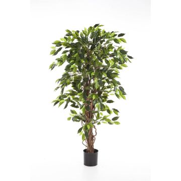 Kunstbaum Ficus Benjamini JARLAN, Echtstämme, grün, 210cm