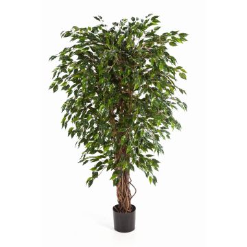 Deko Ficus Benjamini DAKU, Naturstämme, grün, 90cm