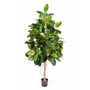 Künstlicher Gummibaum DEVI, Naturstamm, grün, 140cm