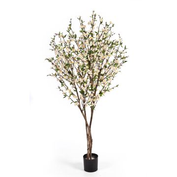 Plastik Kirschbaum ZADAR, Echtstämme, Blüten, weiß, 170cm