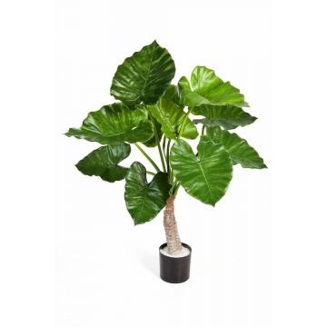 Dekopflanze Alocasia Calidora SURI, grün, 80cm
