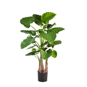 Dekopflanze Alocasia Calidora SURI, grün, 120cm