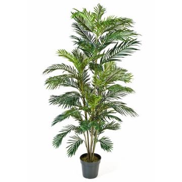 Künstliche Palme Areca JENNICA, 180cm