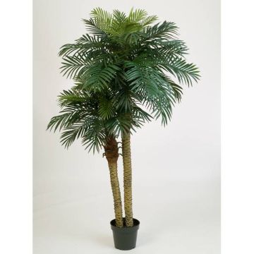 Kunst Phönixpalme CAMILA, 210cm