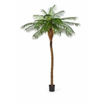 Künstliche Phönixpalme ELIZABETH, 225cm