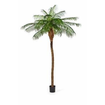 Künstliche Phönixpalme ELIZABETH, 280cm