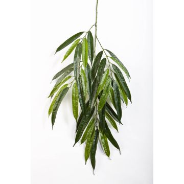 Deko Longifolia Zweig NILAY, schwerentzündbar, 65cm