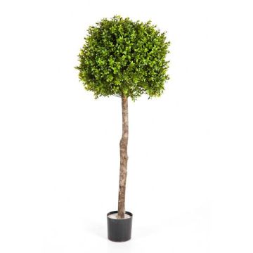 Kunst Buchsbaum TOM, Naturstamm, 105cm, Ø40cm
