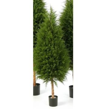 Deko Zeder YVONNE, grün, 120cm