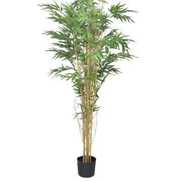 Plastik Baum Bambus WANNING, Echtstämme, 180cm