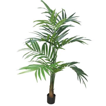 Künstliche Palme Kentia LUXINA, 180cm