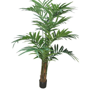 Künstliche Palme Kentia LUXINA, 210cm