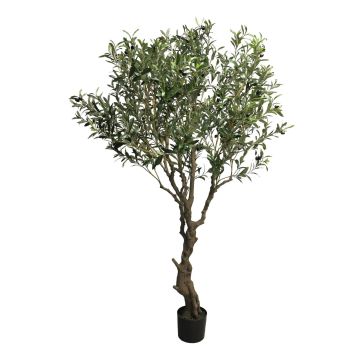 Dekobaum Olive NINGMO, Kunststamm, Früchte, 200cm