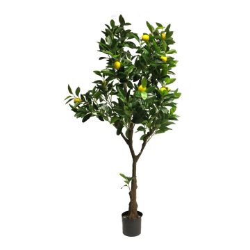Dekobaum Zitronenbaum JINROU, Kunststamm, Früchte, 150cm