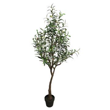 Kunstbaum Olivenbaum LIANSHU, Kunststamm, Früchte, 150cm